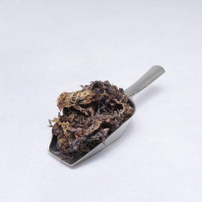 Irish Moss Algae 50g Cover