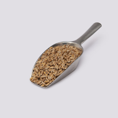 Spelt Kernels 100g Cover